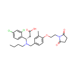 CCCCN(Cc1ccc(OCCN2C(=O)CCC2=O)c(C)c1)[C@@H](CC(=O)O)c1ccc(Cl)cc1Cl ZINC000225118802