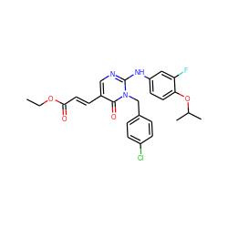 CCOC(=O)/C=C/c1cnc(Nc2ccc(OC(C)C)c(F)c2)n(Cc2ccc(Cl)cc2)c1=O ZINC000204095945