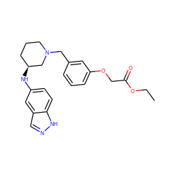 CCOC(=O)COc1cccc(CN2CCC[C@H](Nc3ccc4[nH]ncc4c3)C2)c1 ZINC000114037902