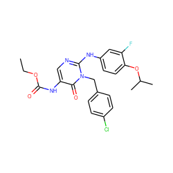 CCOC(=O)Nc1cnc(Nc2ccc(OC(C)C)c(F)c2)n(Cc2ccc(Cl)cc2)c1=O ZINC000204092359