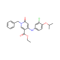 CCOC(=O)c1cn(Cc2ccccc2)c(=O)cc1Nc1ccc(OC(C)C)c(Cl)c1 ZINC000204094684