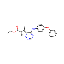 CCOC(=O)c1cn2ncnc(Nc3ccc(Oc4ccccc4)cc3)c2c1C ZINC000028569357
