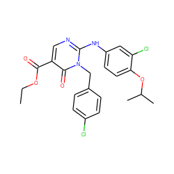 CCOC(=O)c1cnc(Nc2ccc(OC(C)C)c(Cl)c2)n(Cc2ccc(Cl)cc2)c1=O ZINC000221182056