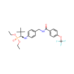 CCOP(=O)(OCC)[C@H](Nc1ccc(CNC(=O)c2ccc(OC(F)(F)F)cc2)cc1)C(C)(C)C ZINC000198532801