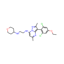 CCOc1cc(Cl)c(-c2c(C)nn3c(NCCNC4CCOCC4)cc(C)nc23)c(Cl)c1 ZINC000034000569