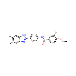 CCOc1ccc(C(=O)Nc2ccc(-c3nc4cc(C)c(C)cc4[nH]3)cc2)cc1Br ZINC000028563540