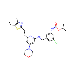 CCc1sc(CCc2cc(N3CCOCC3)cc(NCc3cc(Cl)cc(NC(=O)OC(C)C)c3)n2)nc1C ZINC000029479029
