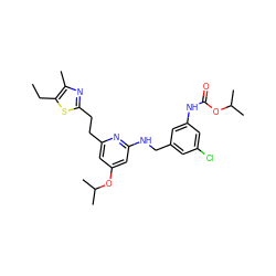 CCc1sc(CCc2cc(OC(C)C)cc(NCc3cc(Cl)cc(NC(=O)OC(C)C)c3)n2)nc1C ZINC000029479032
