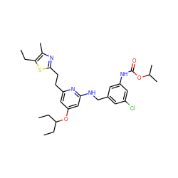 CCc1sc(CCc2cc(OC(CC)CC)cc(NCc3cc(Cl)cc(NC(=O)OC(C)C)c3)n2)nc1C ZINC000029470440