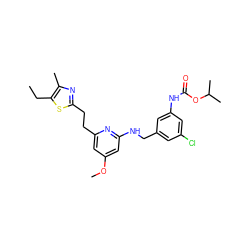 CCc1sc(CCc2cc(OC)cc(NCc3cc(Cl)cc(NC(=O)OC(C)C)c3)n2)nc1C ZINC000029468215