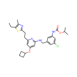CCc1sc(CCc2cc(OC3CCC3)cc(NCc3cc(Cl)cc(NC(=O)OC(C)C)c3)n2)nc1C ZINC000029472958