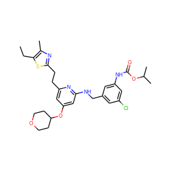 CCc1sc(CCc2cc(OC3CCOCC3)cc(NCc3cc(Cl)cc(NC(=O)OC(C)C)c3)n2)nc1C ZINC000029474277