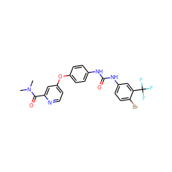 CN(C)C(=O)c1cc(Oc2ccc(NC(=O)Nc3ccc(Br)c(C(F)(F)F)c3)cc2)ccn1 ZINC000027876421