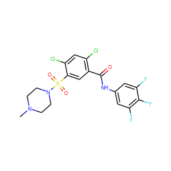 CN1CCN(S(=O)(=O)c2cc(C(=O)Nc3cc(F)c(F)c(F)c3)c(Cl)cc2Cl)CC1 ZINC001772639522