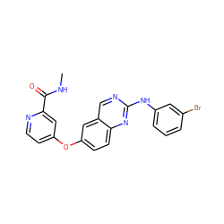 CNC(=O)c1cc(Oc2ccc3nc(Nc4cccc(Br)c4)ncc3c2)ccn1 ZINC000073197813