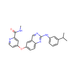 CNC(=O)c1cc(Oc2ccc3nc(Nc4cccc(C(C)C)c4)ncc3c2)ccn1 ZINC000082152988
