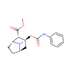 COC(=O)[C@@H]1[C@@H](OC(=O)Nc2ccccc2)C[C@H]2CC[C@H]1N2C ZINC000100655101