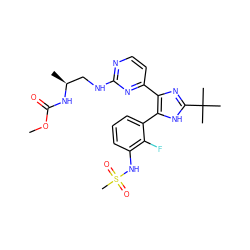 COC(=O)N[C@@H](C)CNc1nccc(-c2nc(C(C)(C)C)[nH]c2-c2cccc(NS(C)(=O)=O)c2F)n1 ZINC000169694689