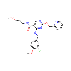 COCCCNC(=O)c1cnc(OCc2ccccn2)nc1NCc1ccc(OC)c(Cl)c1 ZINC000299841379