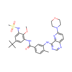 COc1c(NC(=O)c2ccc(C)c(Nc3ncnc4ccc(N5CCOCC5)nc34)c2)cc(C(C)(C)C)cc1NS(C)(=O)=O ZINC000096175738