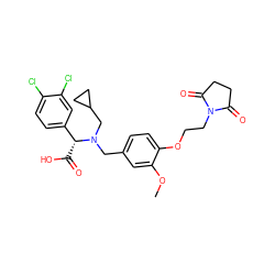 COc1cc(CN(CC2CC2)[C@H](C(=O)O)c2ccc(Cl)c(Cl)c2)ccc1OCCN1C(=O)CCC1=O ZINC000207197043