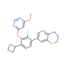 COc1cc(Oc2c(C3CCC3)ccc(-c3cnc4c(c3)OCCN4)c2F)ncn1 ZINC000224544725