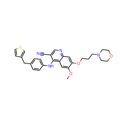 COc1cc2c(Nc3ccc(Cc4ccsc4)cc3)c(C#N)cnc2cc1OCCCN1CCOCC1 ZINC000029210697