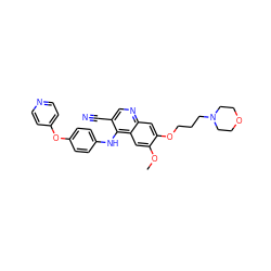 COc1cc2c(Nc3ccc(Oc4ccncc4)cc3)c(C#N)cnc2cc1OCCCN1CCOCC1 ZINC000029209922