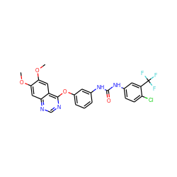 COc1cc2ncnc(Oc3cccc(NC(=O)Nc4ccc(Cl)c(C(F)(F)F)c4)c3)c2cc1OC ZINC000072183814