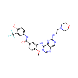 COc1ccc(C(=O)Nc2ccc(OC)c(C(F)(F)F)c2)cc1Nc1ncnc2cnc(NCCN3CCOCC3)nc12 ZINC000148071752