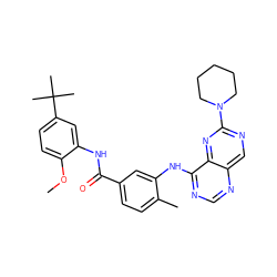 COc1ccc(C(C)(C)C)cc1NC(=O)c1ccc(C)c(Nc2ncnc3cnc(N4CCCCC4)nc23)c1 ZINC000148217379