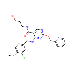 COc1ccc(CNc2nc(OCc3ccccn3)ncc2C(=O)NCCCO)cc1Cl ZINC000299831999