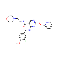 COc1ccc(CNc2nc(OCc3ccccn3)ncc2C(=O)NCCN2CCOCC2)cc1Cl ZINC000299821254