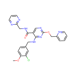 COc1ccc(CNc2nc(OCc3ccccn3)ncc2C(=O)NCc2ncccn2)cc1Cl ZINC000299836467