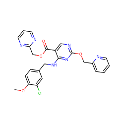 COc1ccc(CNc2nc(OCc3ccccn3)ncc2C(=O)OCc2ncccn2)cc1Cl ZINC000204057588