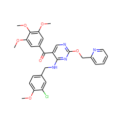 COc1ccc(CNc2nc(OCc3ccccn3)ncc2C(=O)c2cc(OC)c(OC)c(OC)c2)cc1Cl ZINC000138207339