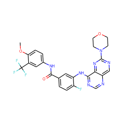 COc1ccc(NC(=O)c2ccc(F)c(Nc3ncnc4cnc(N5CCOCC5)nc34)c2)cc1C(F)(F)F ZINC000148074426