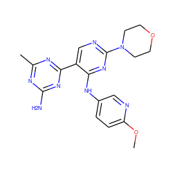 COc1ccc(Nc2nc(N3CCOCC3)ncc2-c2nc(C)nc(N)n2)cn1 ZINC000113239608