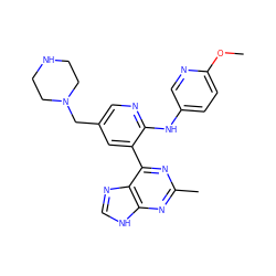 COc1ccc(Nc2ncc(CN3CCNCC3)cc2-c2nc(C)nc3[nH]cnc23)cn1 ZINC000113146107