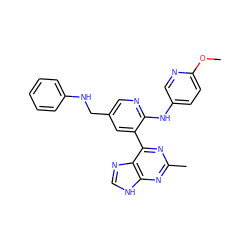 COc1ccc(Nc2ncc(CNc3ccccc3)cc2-c2nc(C)nc3[nH]cnc23)cn1 ZINC000113153962