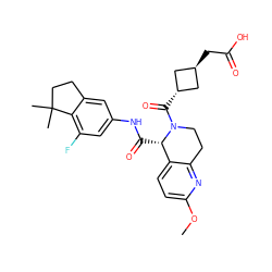 COc1ccc2c(n1)CCN(C(=O)[C@H]1C[C@H](CC(=O)O)C1)[C@H]2C(=O)Nc1cc(F)c2c(c1)CCC2(C)C ZINC001772604140