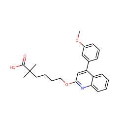 COc1cccc(-c2cc(OCCCCC(C)(C)C(=O)O)nc3ccccc23)c1 ZINC000013729667