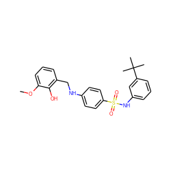 COc1cccc(CNc2ccc(S(=O)(=O)Nc3cccc(C(C)(C)C)c3)cc2)c1O ZINC000103266556
