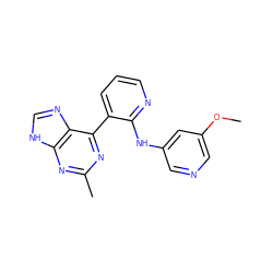 COc1cncc(Nc2ncccc2-c2nc(C)nc3[nH]cnc23)c1 ZINC000113154258