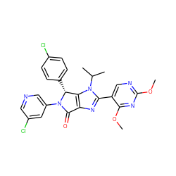 COc1ncc(-c2nc3c(n2C(C)C)[C@@H](c2ccc(Cl)cc2)N(c2cncc(Cl)c2)C3=O)c(OC)n1 ZINC000169705501