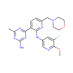 COc1ncc(Nc2nc(CN3CCOCC3)ccc2-c2nc(C)nc(N)n2)cc1F ZINC000113156637