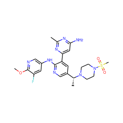 COc1ncc(Nc2ncc([C@@H](C)N3CCN(S(C)(=O)=O)CC3)cc2-c2cc(N)nc(C)n2)cc1F ZINC000113157377