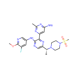 COc1ncc(Nc2ncc([C@@H](C)N3CCN(S(C)(=O)=O)CC3)nc2-c2cc(N)nc(C)n2)cc1F ZINC000113151020