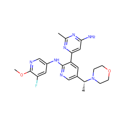 COc1ncc(Nc2ncc([C@@H](C)N3CCOCC3)cc2-c2cc(N)nc(C)n2)cc1F ZINC000113152829
