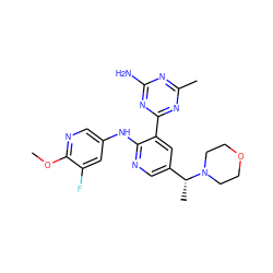 COc1ncc(Nc2ncc([C@@H](C)N3CCOCC3)cc2-c2nc(C)nc(N)n2)cc1F ZINC000113233678